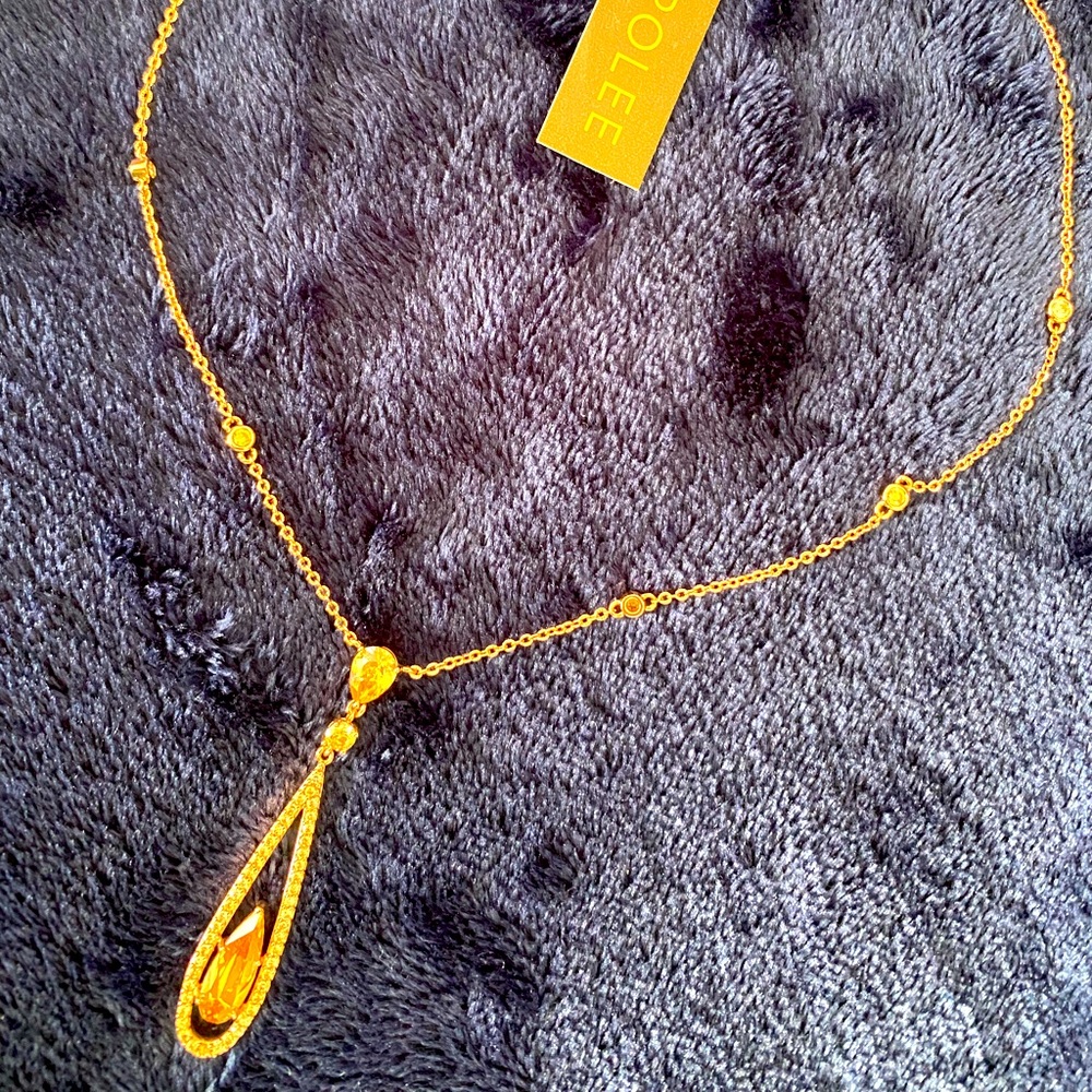 FREE SHIPPING!!!Carolee drop Necklace